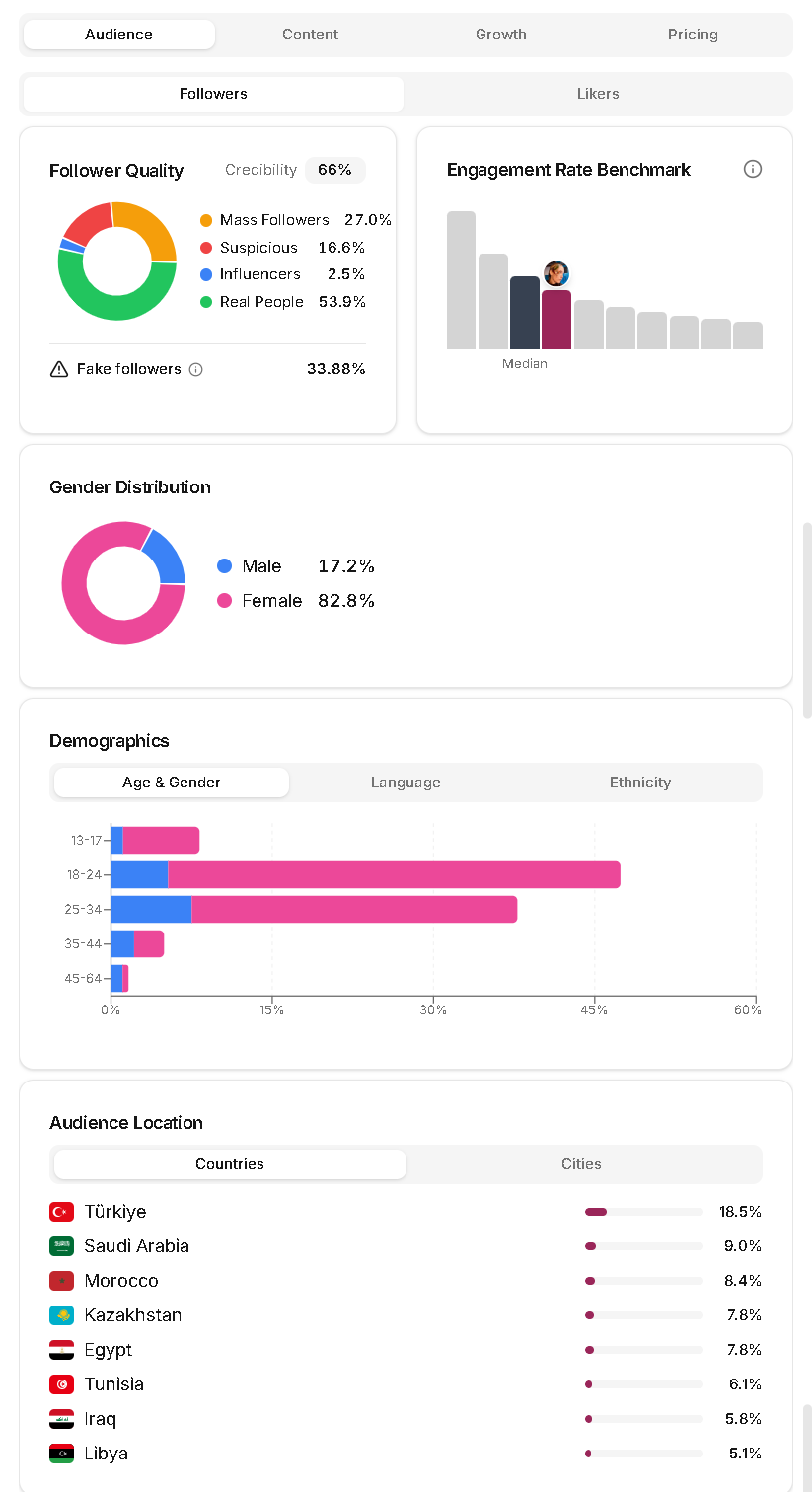 Leewou profile analytics audience tab with audience demographics and location insights